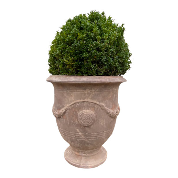 Anduze Style Frostproof Terracotta Planter - Small