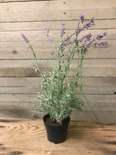 Load image into Gallery viewer, Faux Lavender Plant