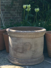 Load image into Gallery viewer, Wakehurst Kew Frostproof  Medium Terracotta Planter