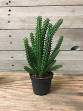Load image into Gallery viewer, Faux cactus