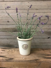 Load image into Gallery viewer, faux lavender