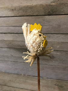 Chick on Stick pack of 6