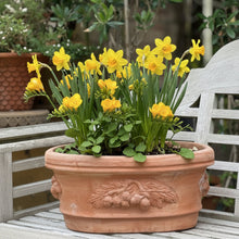 Load image into Gallery viewer, Rustico Festonato Oval Planter - Set of 2
