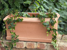 Load image into Gallery viewer, Classic Rectangular Planter - Set of 2
