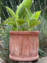 Load image into Gallery viewer, Cipressi Cylinder Planter