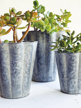 Load image into Gallery viewer, Zinc Fluted Long Tom - Set of 3