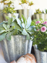 Load image into Gallery viewer, Zinc Fluted Round Planters - Set of 2