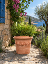 Load image into Gallery viewer, Lemon Terracotta Planter - Set of 2
