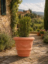 Load image into Gallery viewer, Tuscan Terracotta Planter - Set of 2