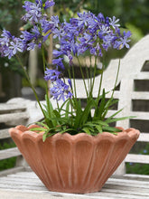 Load image into Gallery viewer, Smerlato Fluted Bowl
