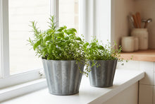 Load image into Gallery viewer, Zinc Fluted Round Planters - Set of 2