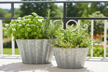 Load image into Gallery viewer, Zinc Fluted Oval Planters - Set of 2