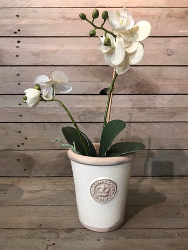 Small Ivory Kew Long Tom
