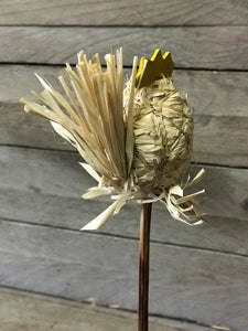 Chick on Stick pack of 6